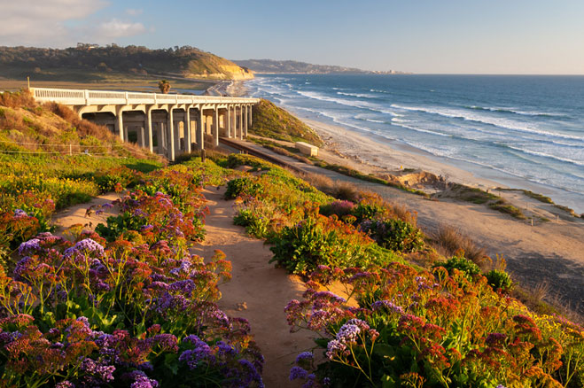 Torrey Pines Beach
