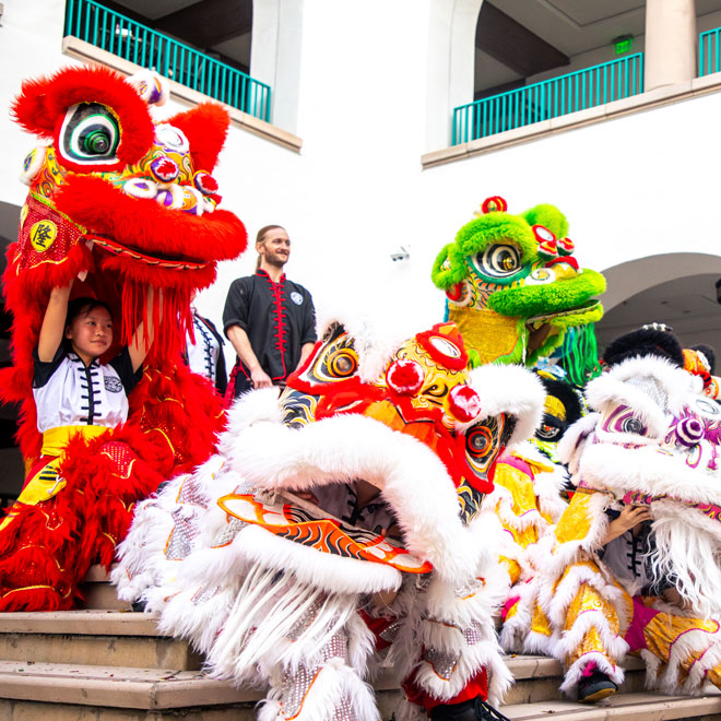 Dragon puppets at the Lunar New Year celebration