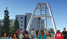 View of Walking Bridge to the Union